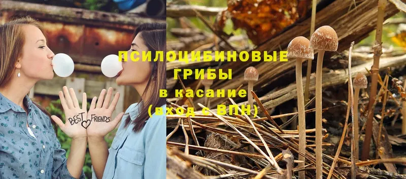 Галлюциногенные грибы GOLDEN TEACHER  сколько стоит  Белогорск 