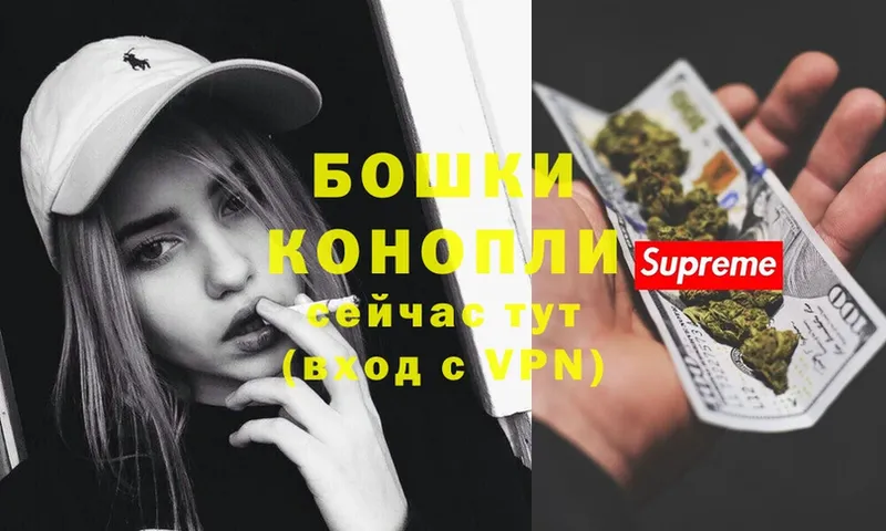 где найти наркотики  Белогорск  Каннабис Ganja 